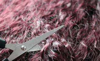 A pair of scissors cutting burgundy coloured curly hair.