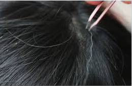 Someone with tweezers plucking grey hair from black head of hair.