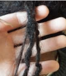 Hand holding a dreadlock where 3 dreads have partly joined at the top.
