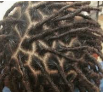 a head of recently retwisted dreads.