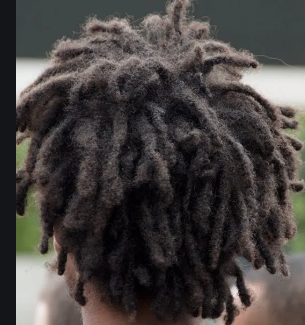 An person with dark super curly head of dreads with lots of regrowth.