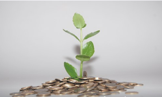 Image of a plant growing from a pile of coins.