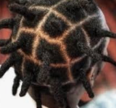 Image of square sectioning for dreadlocks.