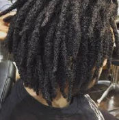 How Many Locs Should You Start With