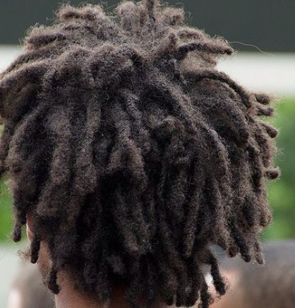 Coming In From The Cold – Freeform Locs